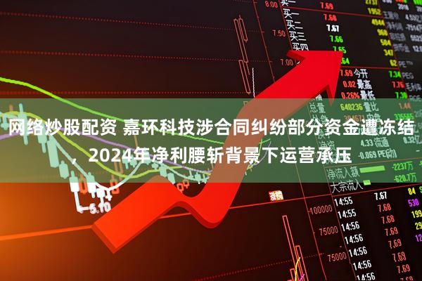 网络炒股配资 嘉环科技涉合同纠纷部分资金遭冻结，2024年净利腰斩背景下运营承压