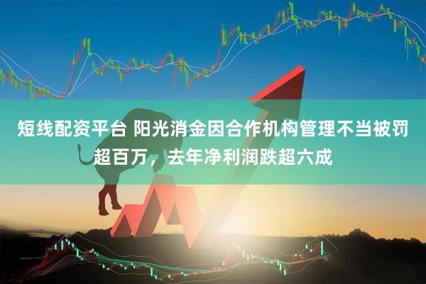 短线配资平台 阳光消金因合作机构管理不当被罚超百万，去年净利润跌超六成