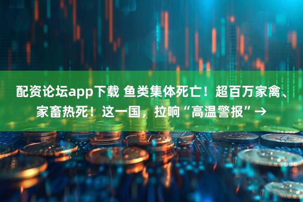 配资论坛app下载 鱼类集体死亡！超百万家禽、家畜热死！这一国，拉响“高温警报”→